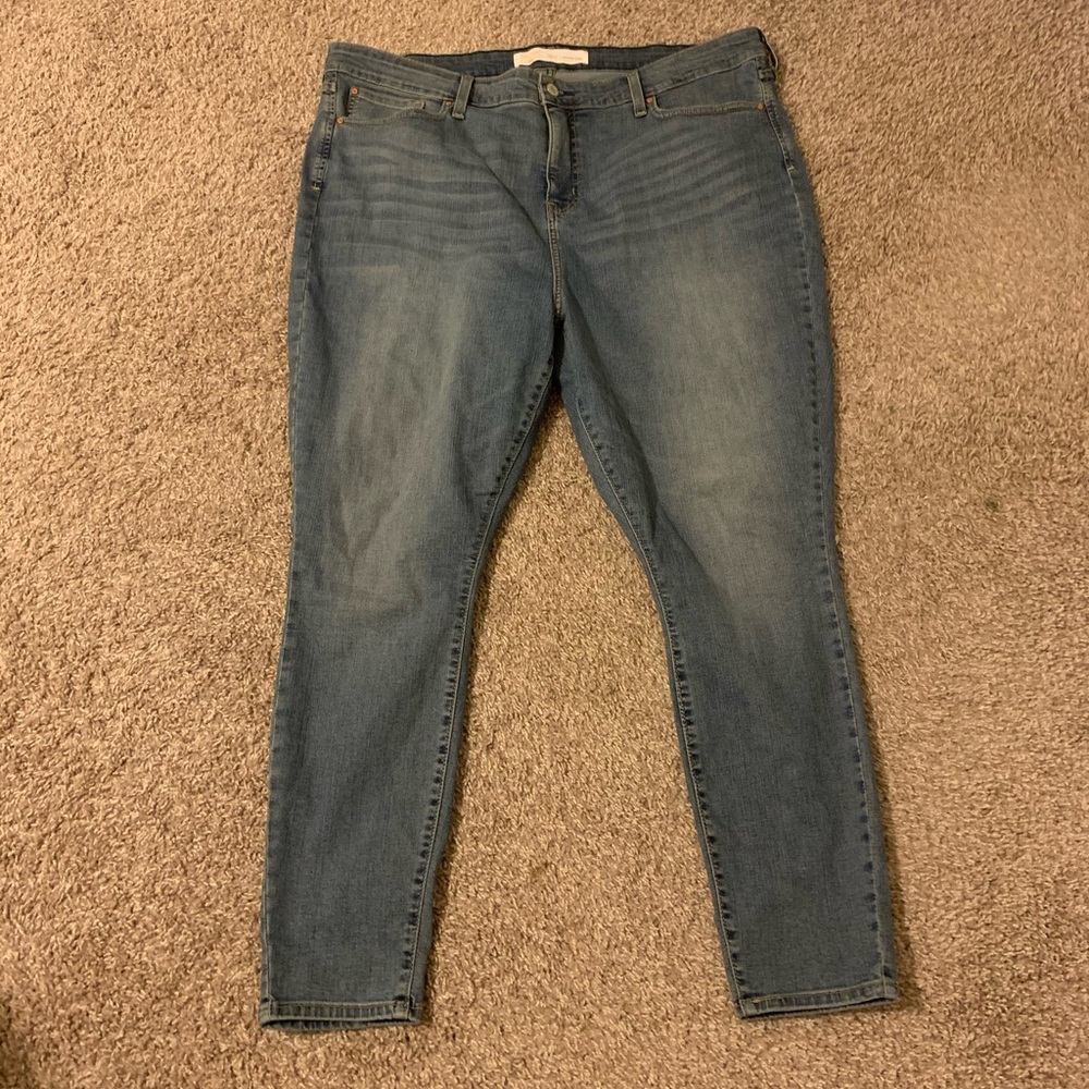 Signature by Levi Strauss
